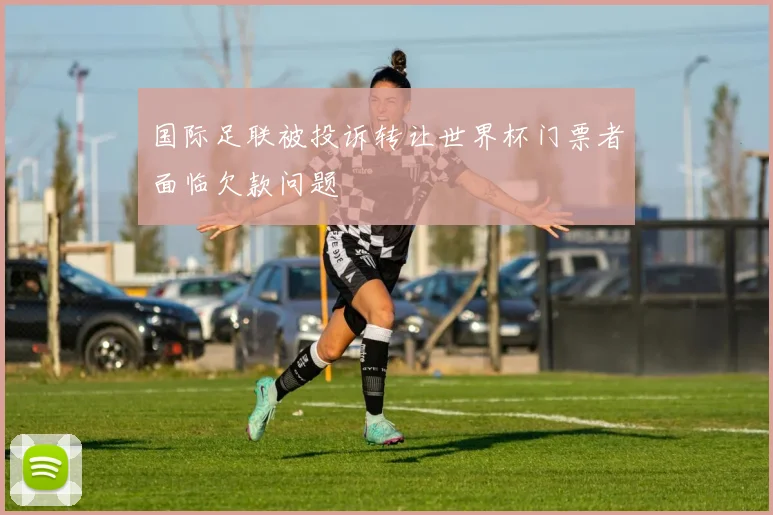 国际足联被投诉转让世界杯门票者面临欠款问题